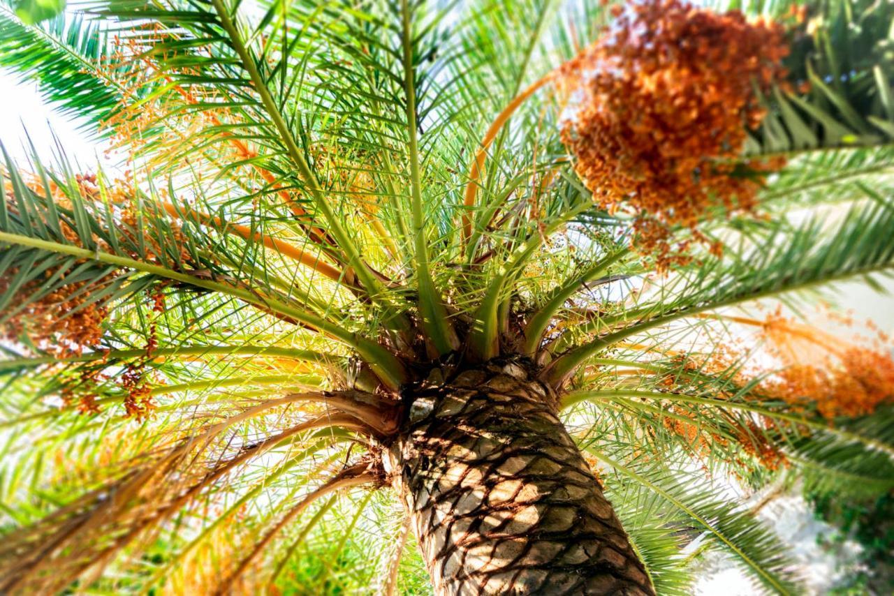 Alavya Hotell Alaçatı Exteriör bild