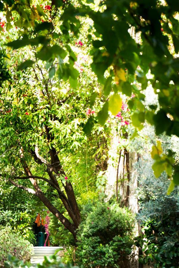 Alavya Hotell Alaçatı Exteriör bild